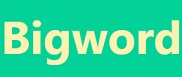 Bigword.ai promo code logo