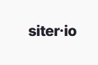 siter site logo