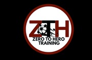 zthtraining logo