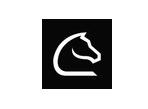 chessnutech site logo